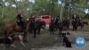 Debate over Hunting in France Points to Changing Culture and Identity