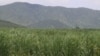 After CPP Election Win, Promises to Solve Cambodia’s Land Grabs Fade Again