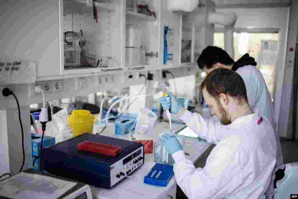 &nbsp;Kopengagen universiteti laboratoriyasida tadqiqotchilar koronavirusga qarshi vaksina yaratish ustida ishlamoqda. Daniya, 23-mart, 2020-yil.