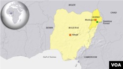 Letak hutan Sambisa, Nigeria.