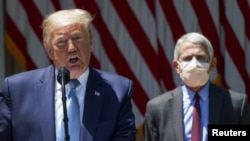 Presiden AS Donald Trump dan Dr. Anthony Fauci (kanan). 