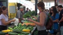Immigrants Thrive at Minnesota Farming Co-Op