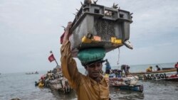 Usine controversée au Sénégal: le patron de Touba Protéines se défend