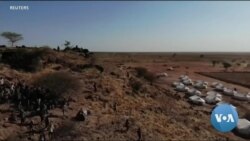 ፈነወ ድምጺ ኣመሪካ ቋንቋ ትግርኛ መጋቢት 3,2022