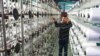 China Sees One of Worst Years of Growth Since 1990