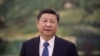 中国国家领导人习近平