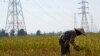 Slowing China Economy Ripples Into Laos