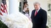 Trump Pardons Iowa Turkey Named Corn