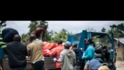 Ba ADF bobomi bato koleka 15 na mboka Baeti na Beni