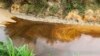 Oil from a spill pollutes the Okuku river in Ogoniland, Nigeria, Sept. 16, 2023.
(AP)