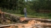 Libreville abrite le "One Forest Summit", un sommet sur les forêts tropicales