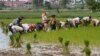 Cambodia Pins Economic Hopes on AEC