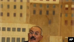 یمنی صدر کا استثنیٰ منظور