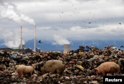 Otpad u blizini elektrane na ugalj blizu Bitolja u Makedoniji (arhivski snimak iz 2009.)