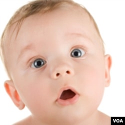 Meski belum bisa bicara, bayi sudah mengenal kata-kata dan menghubungkannya dengan benda-benda.