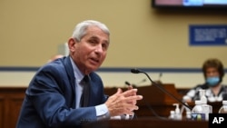 Pakar penyakit menular di Amerika, Dr. Anthony Fauci, di Gedung Capitol, Washington, D.C., 31 Juli 2020. (Kevin Dietsch/Pool via AP)