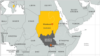 Rights Group Seeks Pressure to End Sudan’s Crackdown on NGOs
