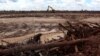 Pembukaan hutan untuk proyek pemerintah di Gunung Mas, Kalimantan, 5 Maret 2021. (Foto: AFP/Galih)
