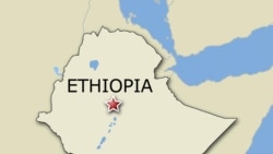 የፓርቲዎች አስተያየት በኢትዮጵያ ወቅታዊ ሁኔታ