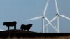 Obama: US is 'Global Leader' in Climate Change Fight