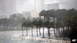 Florida to'fon ostida