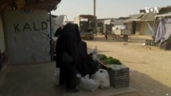 Десетици илјади жени и деца од некогашната ИСИЛ сè уште живеат како затвореници