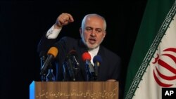 محمد جواد ظریف، معاون رییس جمهور ایران 