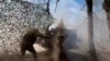 From VOA Russian: Experts address strategic context of situation in Kursk region