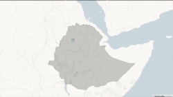 ከምዕራብና ቄለም ወለጋ "ሸኔ" የተሰኙ ታጣቂዎች ነዋሪዎችን ማፈናቀላቸው ተገለፀ