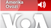 100 dan oshgan amerikaliklar hayot haqida nima deydi? Navbahor Imamova
