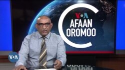 Tamsaasa Guyaadhaa Guyyaa